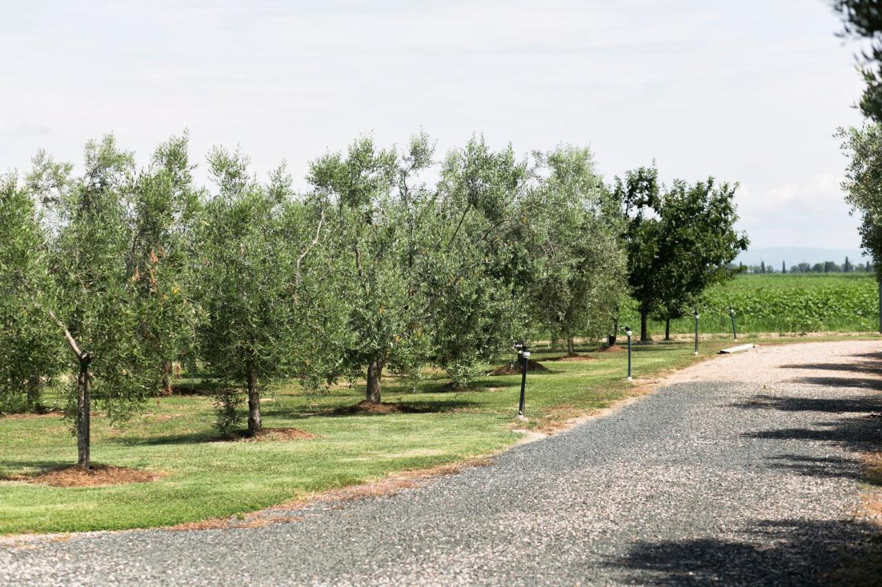 Agriturismo Valdo Гроссето Экстерьер фото