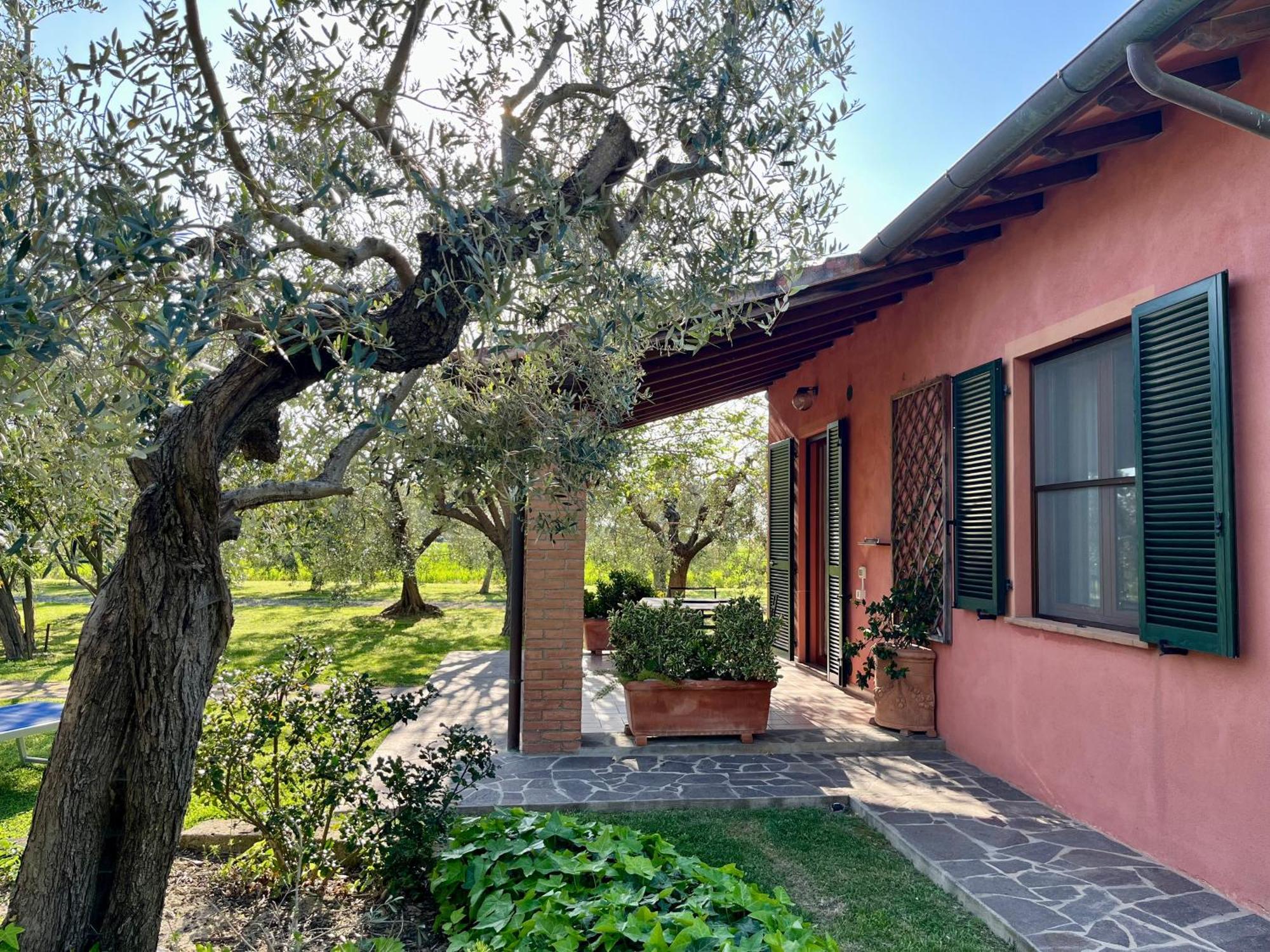 Agriturismo Valdo Гроссето Экстерьер фото