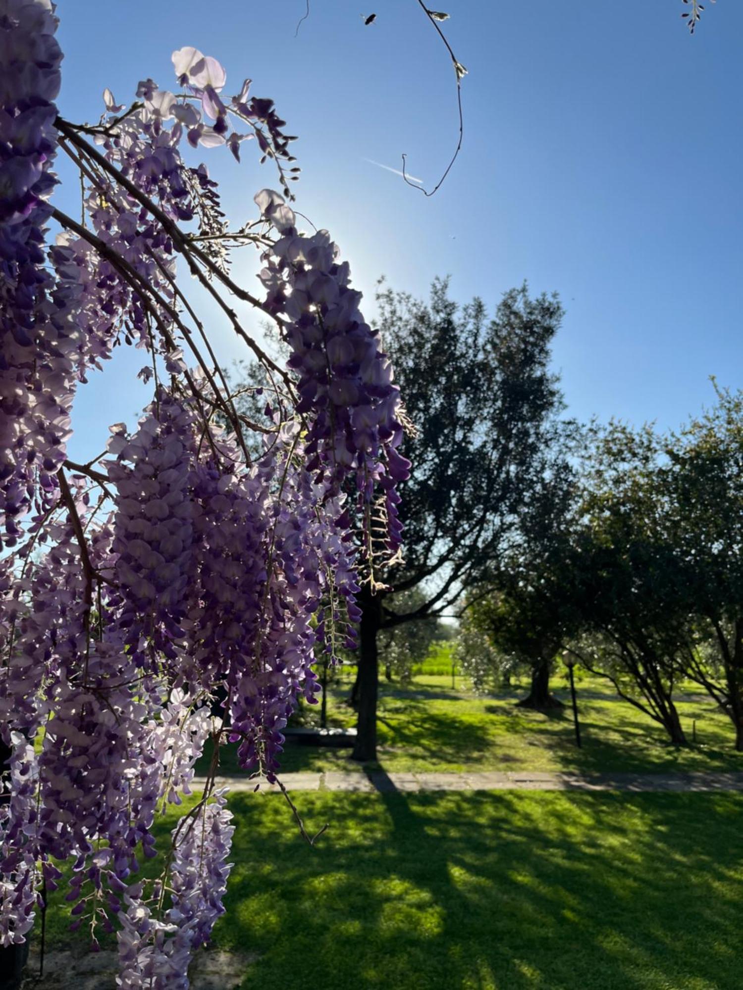 Agriturismo Valdo Гроссето Экстерьер фото